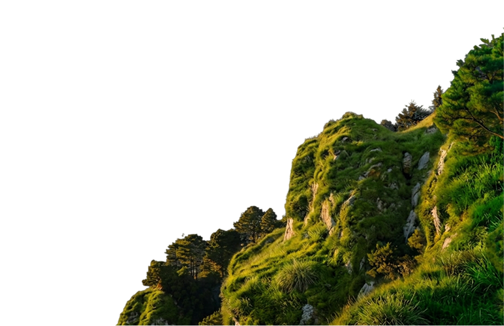 Revel Hills